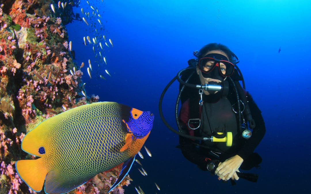 Krystal International Vacation Club Scuba Diving In Mexico