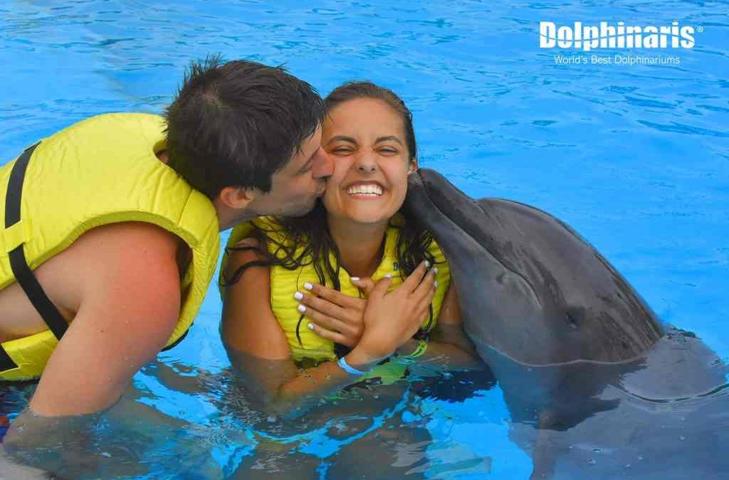 Visita Acuario Interactivo de Cancún y Krystal International Vacation Club