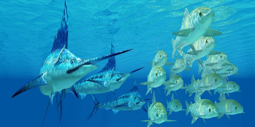 viajes a los cabos todo incluido 2019, vacaciones en los cabos, los cabos todo incluido paquetes, cabo san lucas, krystal international vacation club, krystal international vacation club cancun, krystal international vacation club reviews, krystal international vacation club puerto vallarta