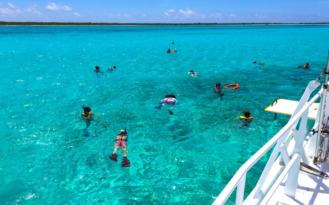 Krystal International Vacation Club Reviews Best Snorkeling Spots in Cozumel
